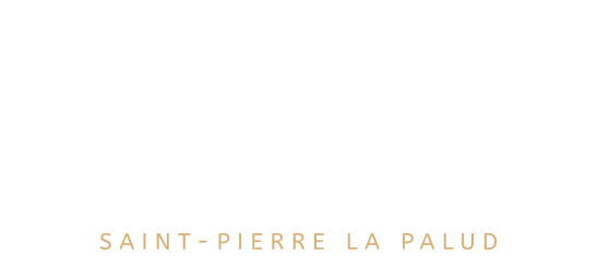 Logo Ballù